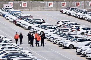 筑牢安全防火墙 消防安全检查走进新疆最大商品汽车专业货场